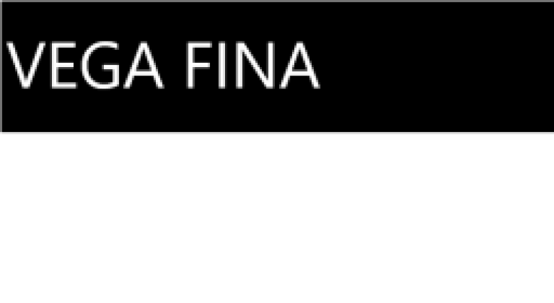 VEGA FINA(ベガフィナ)