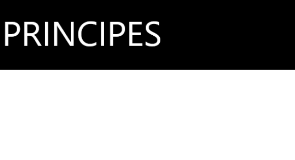 PRINCIPES（プリンシペ）